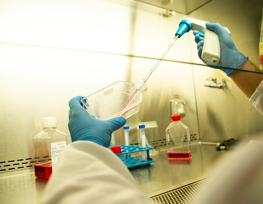 Biotechnologie en farmacie